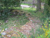 IMG_0576.jpg