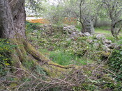 IMG_0582.jpg