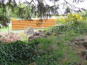 IMG_0587.jpg