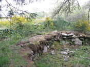 IMG_0588.jpg