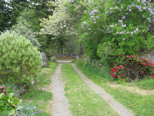 IMG_0593.jpg