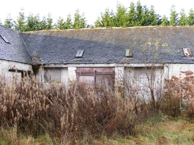 19.jpg