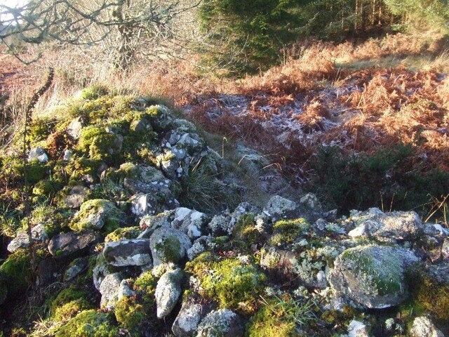 Inchindown 10th Dec 09 006.JPG