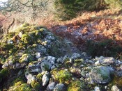 Inchindown 10th Dec 09 006.JPG
