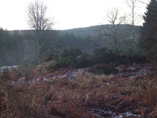 Inchindown 10th Dec 09 018.JPG