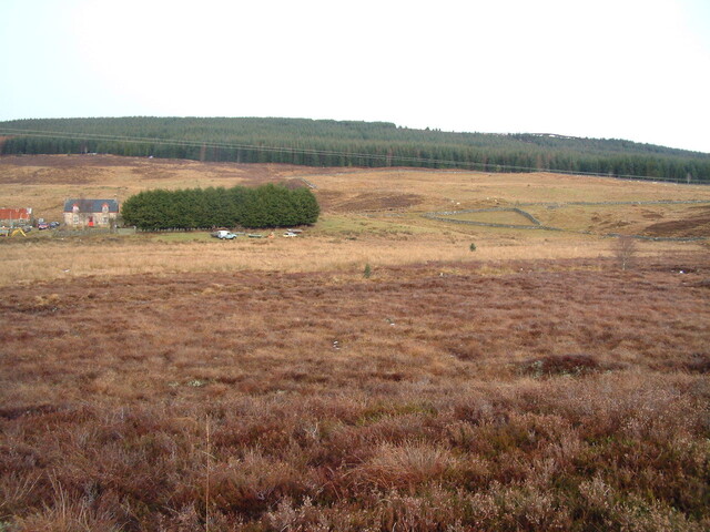 ED005.JPG