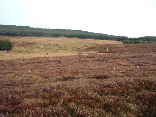 ED006.JPG