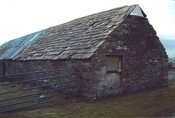 20100121145043_00003.jpg