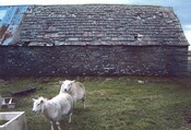 20100121145043_00004.jpg