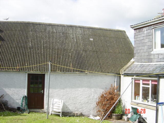 DSC00553.JPG
