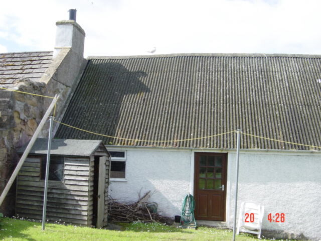 DSC00554.JPG