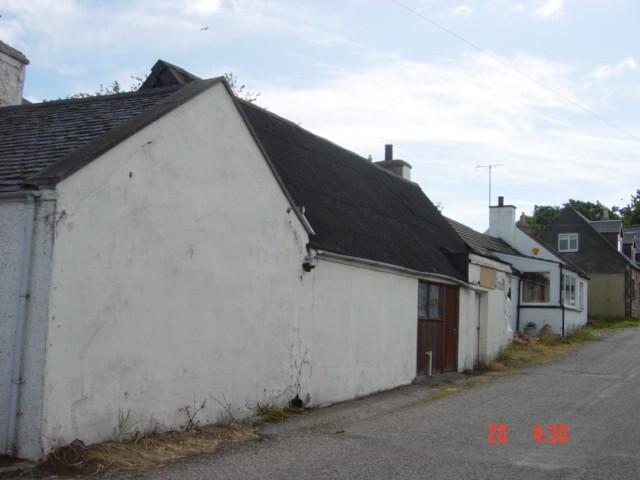 DSC00564.JPG