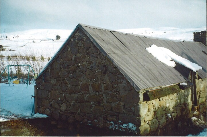 20100125134745_00001.jpg