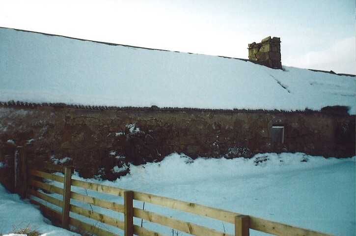 20100125134745_00003.jpg