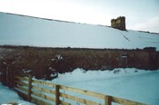 20100125134745_00003.jpg