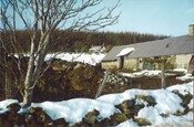 20100125134745_00017.jpg