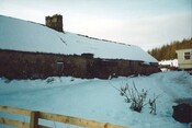 20100125134745_00024.jpg