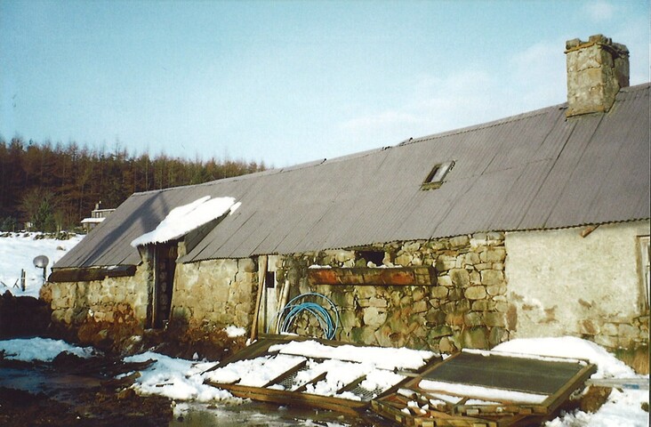20100125134745_00026.jpg