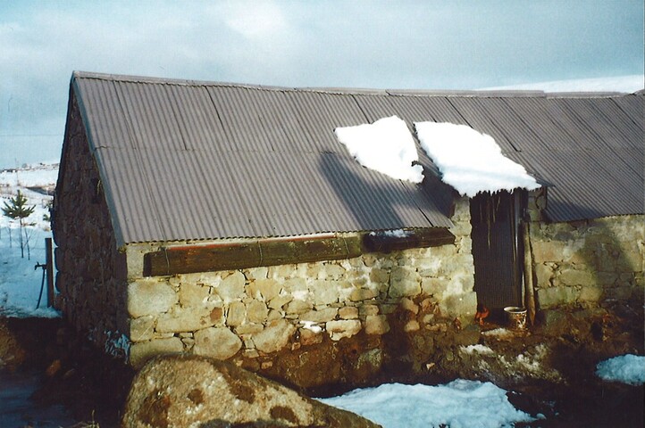 20100125134745_00028.jpg