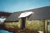 20100125134745_00029.jpg