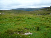 SHG24634_11.JPG