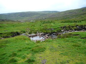 SHG24634_12.JPG