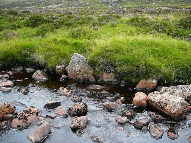 SHG24634_18.JPG