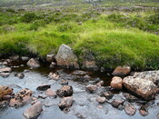 SHG24634_18.JPG