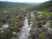 SHG24634_19.JPG