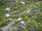 SHG24634_20.JPG