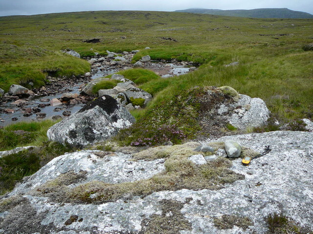 SHG24634_22.JPG