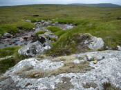 SHG24634_22.JPG