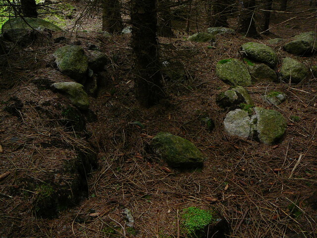 SHG24634_3.JPG