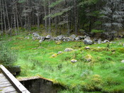 SHG24634_5.JPG