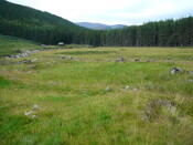 SHG24634_6.JPG