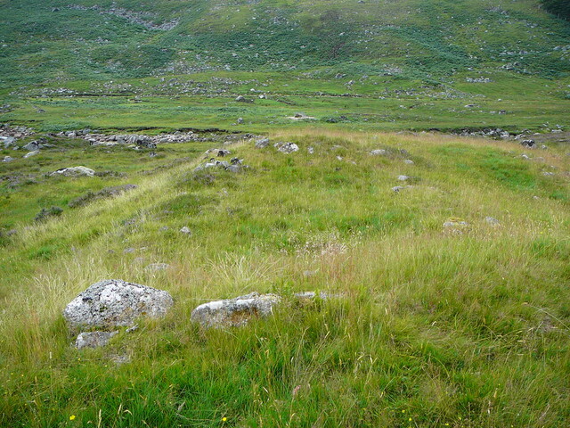 SHG24634_7.JPG