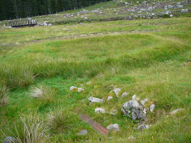 SHG24634_8.JPG