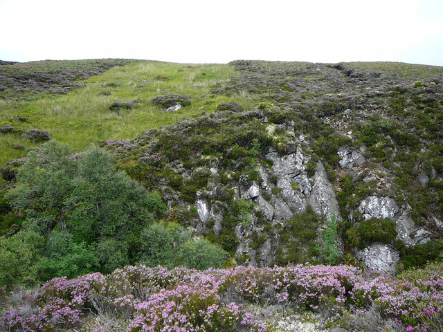SHG24634_9.JPG