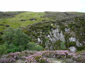 SHG24634_9.JPG