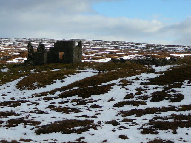 SHG24636_1.JPG