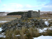 SHG24636_10.JPG