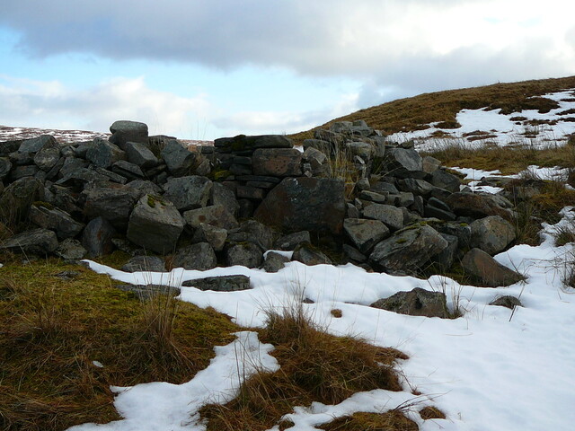 SHG24636_11.JPG