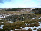 SHG24636_12.JPG
