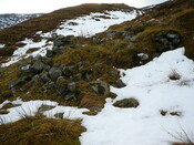 SHG24636_16.JPG