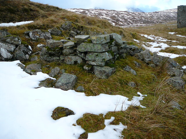 SHG24636_17.JPG