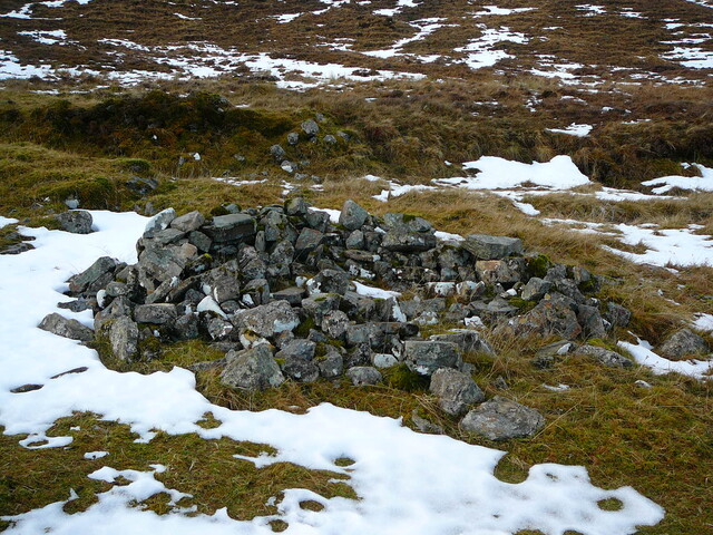 SHG24636_21.JPG