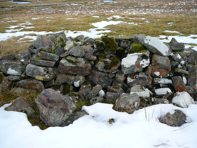 SHG24636_22.JPG