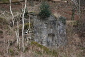 JMBriscoe_EOS450_IMG1996-25_01_2010-13_42_55.jpg