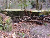 DSCF0640.JPG