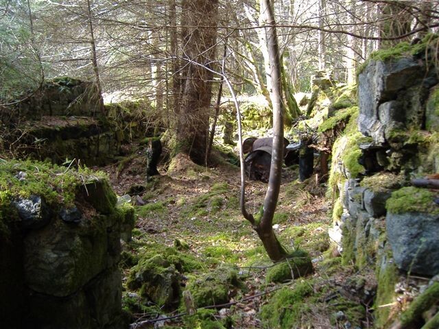 DSCF0659.JPG
